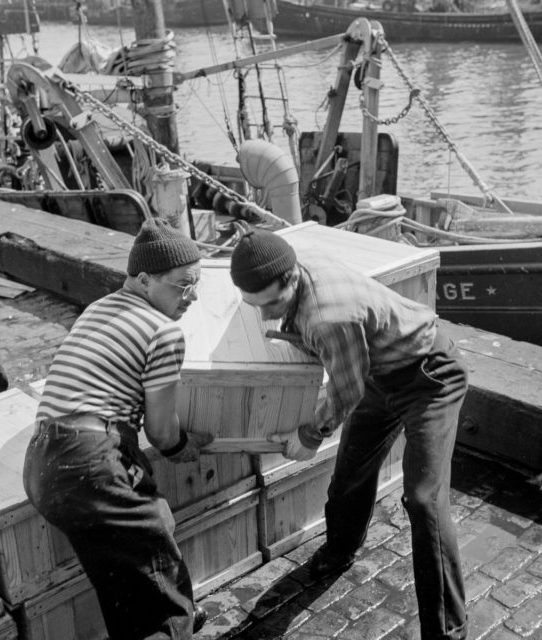 Unloading the fish from the boats